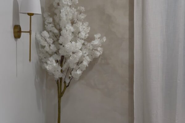 E3828B93-E484-4FD8-B5C0-03FCF256AE0A